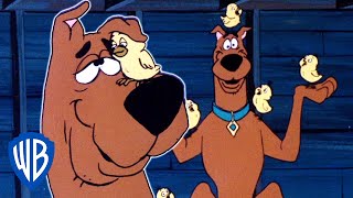 Scooby-Doo! | Scooby & The Baby Chick | WB Kids