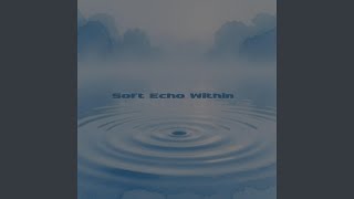 Soft Echo Within