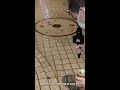 What is the meaning of your life? cockroachVER #Shorts