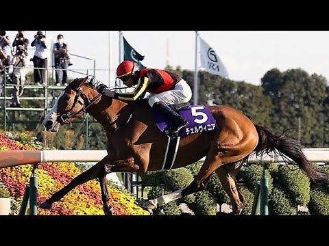 1997年 日本ダービー（GⅠ） | サニーブライアン | JRA公式 - YouTube