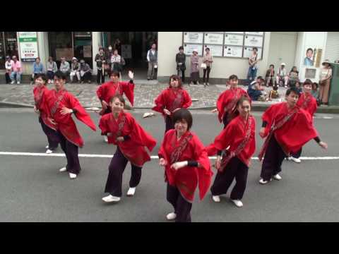 伊澤屋　2016　小田原えっさホイ踊り　1日目　栄町