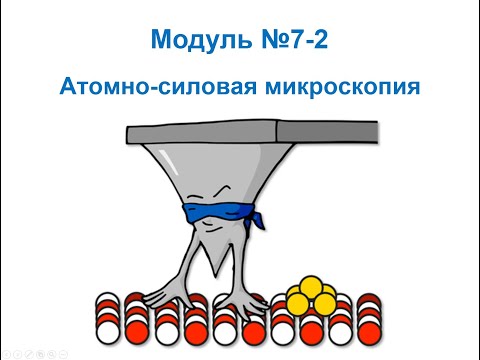 Основы нанохимии и нанотехнологий. Зондовая микроскопия: Атомно-силовая микроскопия