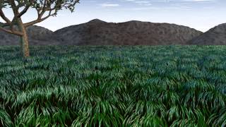 Grass test