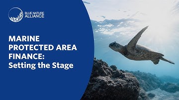 MPA Finance: Setting the Stage