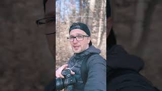 Coole shots #fotografie #fototipps #shots #wildlife #wood #picture