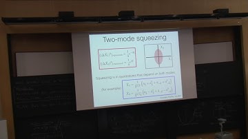 Sarah Shandera "A Cosmological Open Quantum System"