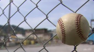Portland Diamond Project pulls bid to buy PPS site