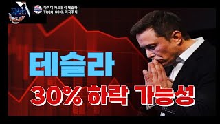신고가 랠리 나스닥, 테슬라 30% 하락 가능성 #테슬라 #엔비디아