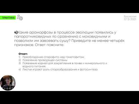 Видео: Какое из перечисленных растений является самым высоким покрытосеменным растением?