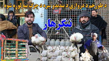 What’s Causing the Sudden Price Hike in Chicken and Food Items?”Full report |  د قيمتي وجه طورخم که