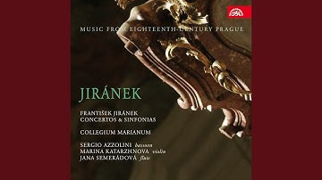 Concerto for Violin, Strings and Basso continuo in D minor - Allegro non molto