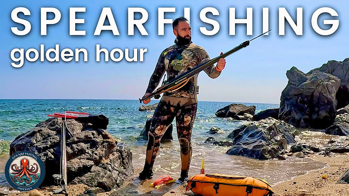 🔱 It All Came Together in the Golden Hour! | Shallow Spearfishing in Crystal-Clear Waters  🐟