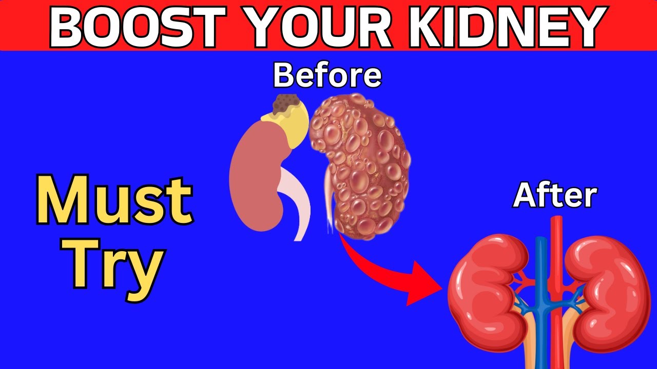 Vitamins You Need To Boost Kidney Function - YouTube