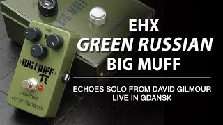 Green Russian Big Muff - Gilmour Gdansk Echoes Solo