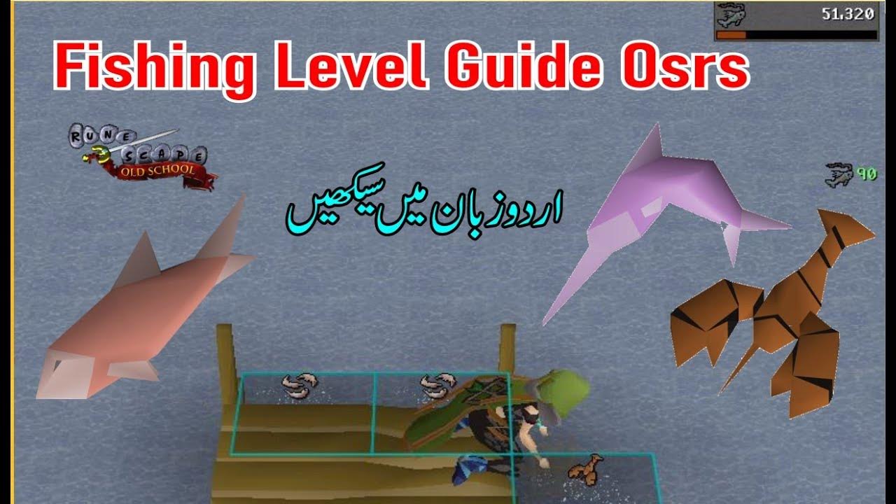 Fishing Level guide in Urdu Osrs YouTube