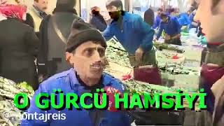 Piç Gürcü Hamsisi Resimi