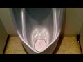 TOTO 男性用小便器　Japanese Urinal for men