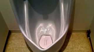 TOTO 男性用小便器　Japanese Urinal for men