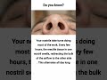 mechanism of smelling and breathing-nasal cycle