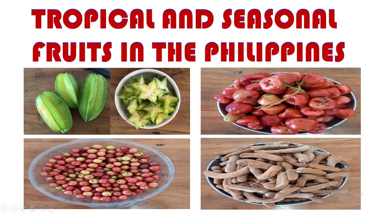Philippine Tropical Fruit Balimbing, Sampalok, Aratiles, Macopa - YouTube