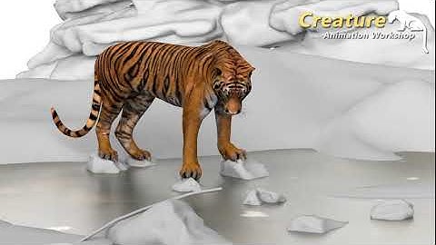 CreatureAnimationWorkshop (CAW) works by Vineeth