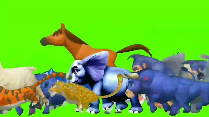 The Picture Sheep Camel Zebra Animal Running Stampede Green Screen @TweenCartoonTv