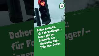 ECHT JETZT? Kiffen bremst mich aus beim Autofahren?
