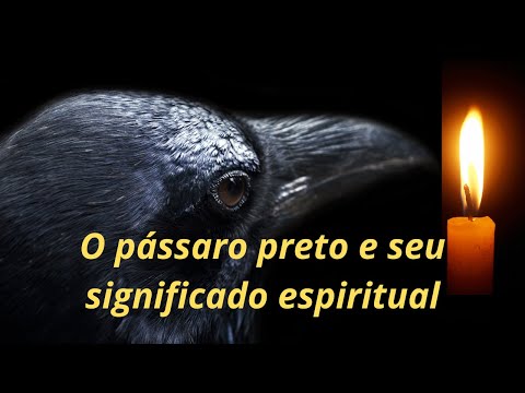 Pássaro preto e