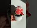 🍄❣️if you like mushrooms you're gonna love today's restock theme ￼🌲#flyagaric #mushroom #diyslime