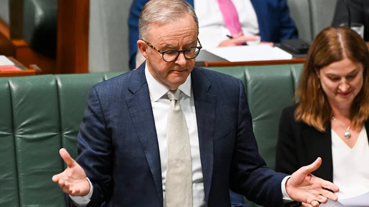 Polling shows Albanese drops '50 percentage points' over last 18 months