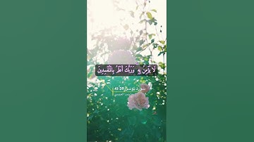 سورة يونس الآية 39-41