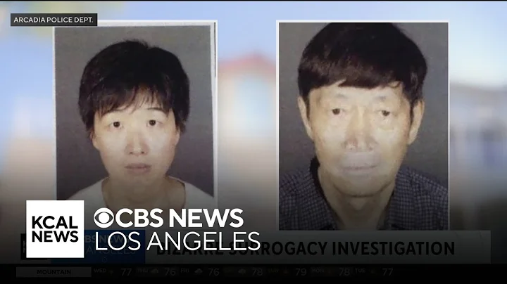 Investigation continues after 20 children, most from surrogate mothers, taken from Arcadia home