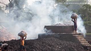The Purifying Ponds of Kolkata | Julia Watson screenshot 4