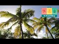 5* Grand Palladium Palace Resort &amp; Spa in Punta Cana 2023 Deals