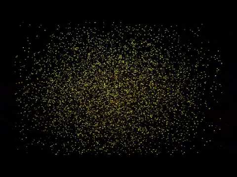 Indian Ball logo - After Effect Animation Logo