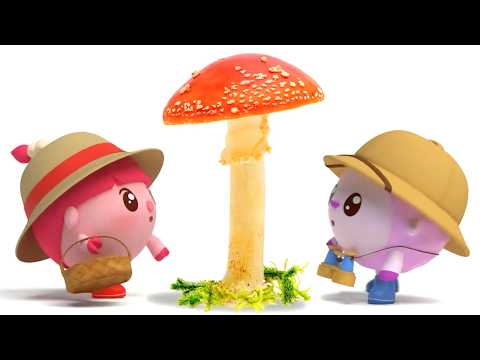 Baby Riki Full Episode | Mushrooms | Preschool Educational Cartoon | Cartoon Candy