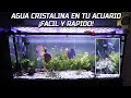 ¿Cómo tener AGUA SUPER CRISTALINA en tu ACUARIO? - Agua dulce y Marino | AcuariosLP