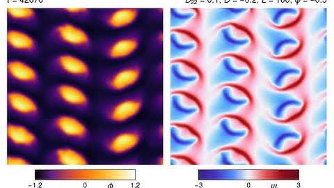 Dynamic droplet lattice in the non-reciprocal Cahn–Hilliard model