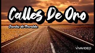 Calles De Oro (Daviles de novelda) LETRA - YouTube