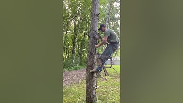 Amsteel USA with a stand