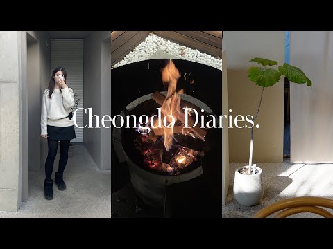 vlog. 생일반차쓰고 떠난 청도 독채펜션 여행, 근데 이제 주제는 우당탕 감성 도전기💭 대구근교 여행, 소우모우, 청도카페 추천, 간송미술관, 직장인 브이로그