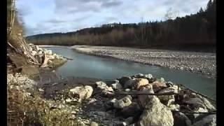 La truite de lac - Inspection de la pêche du Canton de Berne