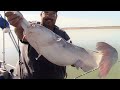 Guided Fishing Trip For Catfish With David DiBartolomeo At Elephant Butte Lake