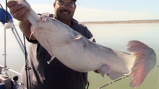 Guided Fishing Trip For Catfish With David DiBartolomeo At Elephant Butte Lake