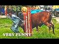 Watch Very Funny Videos 😂 Epic Fails & Unbelievable Funny Content – Try Not to Laugh Challenge