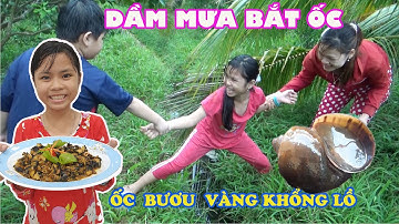 Ốc Bươu Vàng Khổng Lồ Kho Sả Ớt Ăn Có Được Không [ Trang And Vinh ]