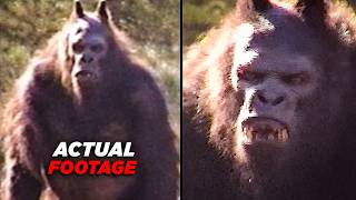Bizarre Creature Encounters Deep in the Forest After Midnight