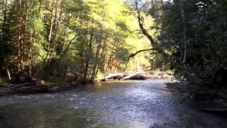 Yin Yin takes us over a suspension bridge above the Ohanapecosh River.
