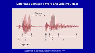 Introduction to Psychology Course MIT Lecture【#12 of 24 | Language】