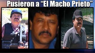 Download "el Chapo" Y El "mayo" Pusieron A "el Macho Prieto" Video MP3 "el Chapo" Y El "mayo" Pusieron A "el Macho Prieto"